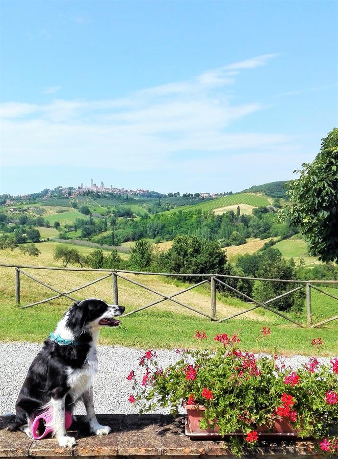 Agriturismo Poggiacolle Сан-Джиминьяно Экстерьер фото